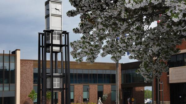 GCC Clocktower, looking 过去的 a tree in heavy flower